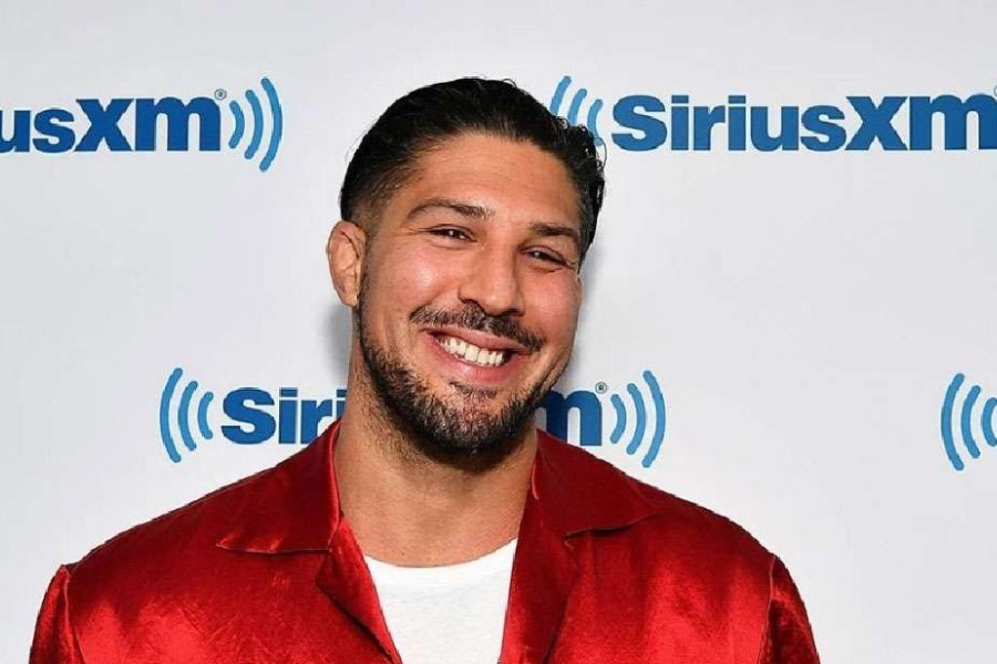 brendan schaub net worth