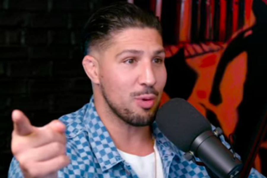 brendan schaub net worth