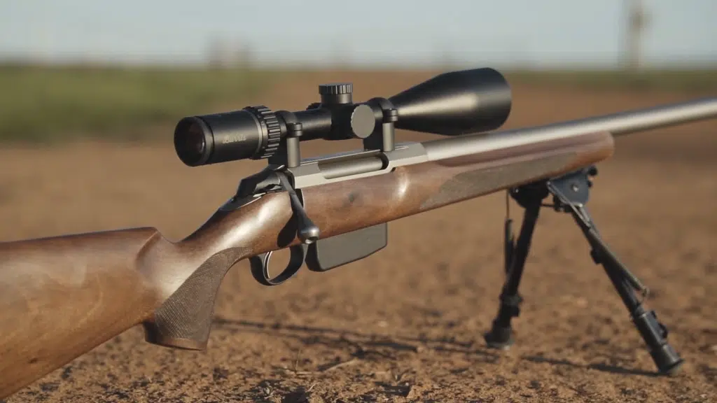 Best Scopes for 17 HMR